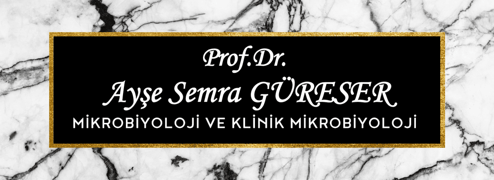 Siyah Mermer ve Altın Detaylı Doktor Masa İsimliği – Model 20